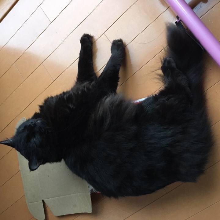 D4736ef5 45d9 4bca 8550 1df1615cd3b5 1507799880837