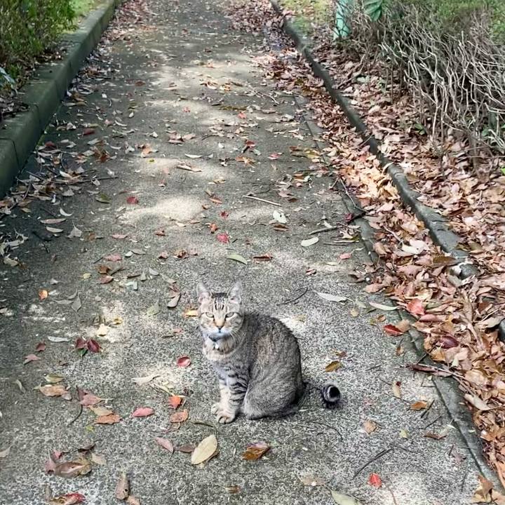 D4739305 d07f 4a13 b9fd 0f8e0df5bea6 1617003292096