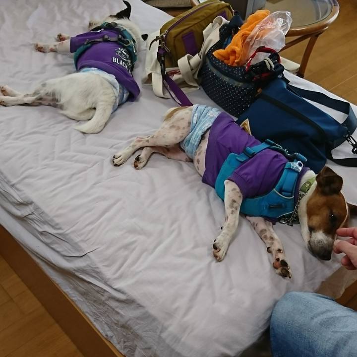 D473973d a7c7 4b88 8719 49a21abe4a23 1595227162702