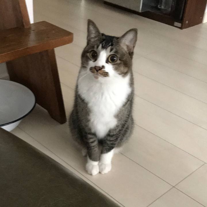 D473a8df 8f94 4bde 987c 164718499c62 1510807461366