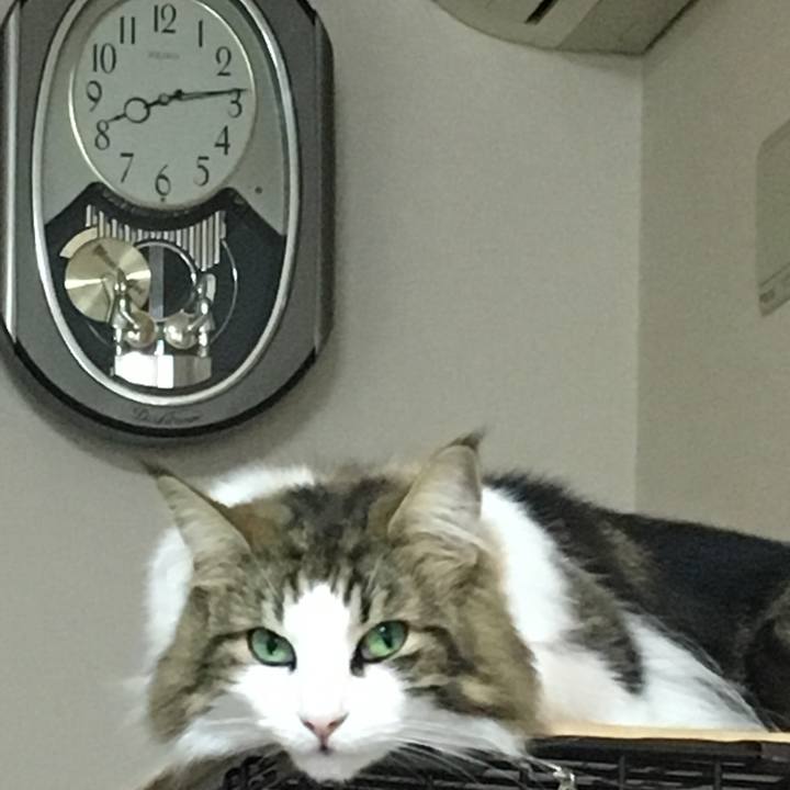 D473c802 8a2a 40dc 9c76 5adeaa04aad3 1508455079610