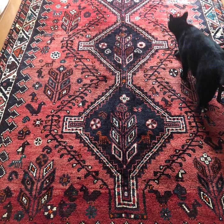 D473e08b f539 4704 a76d 3813905ef201 1558241397857