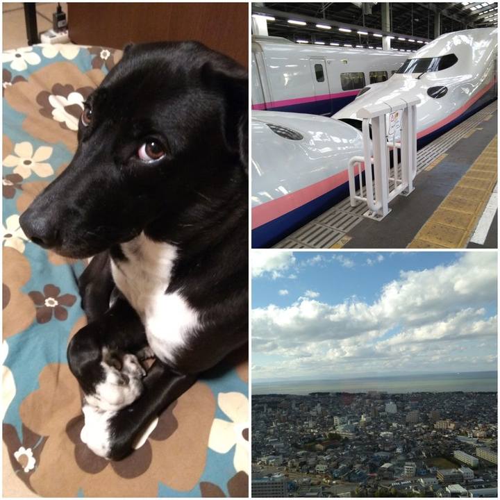 D473e294 1890 4259 a312 0603f6fdd736 1603710425803