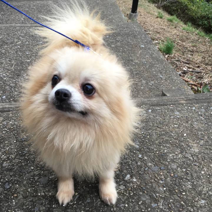 D473eea1 512a 4f64 a6b7 678291f4b4d3 1550649420613