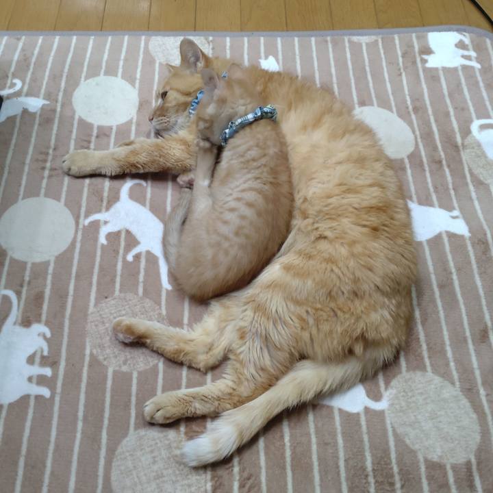 D4740e57 8b45 4f25 922f 3d3225088251 1669884040960