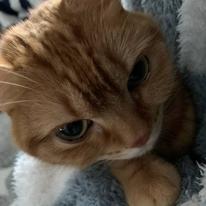 D4742342 573b 466f 99e1 e01610ab2332 1641777327239