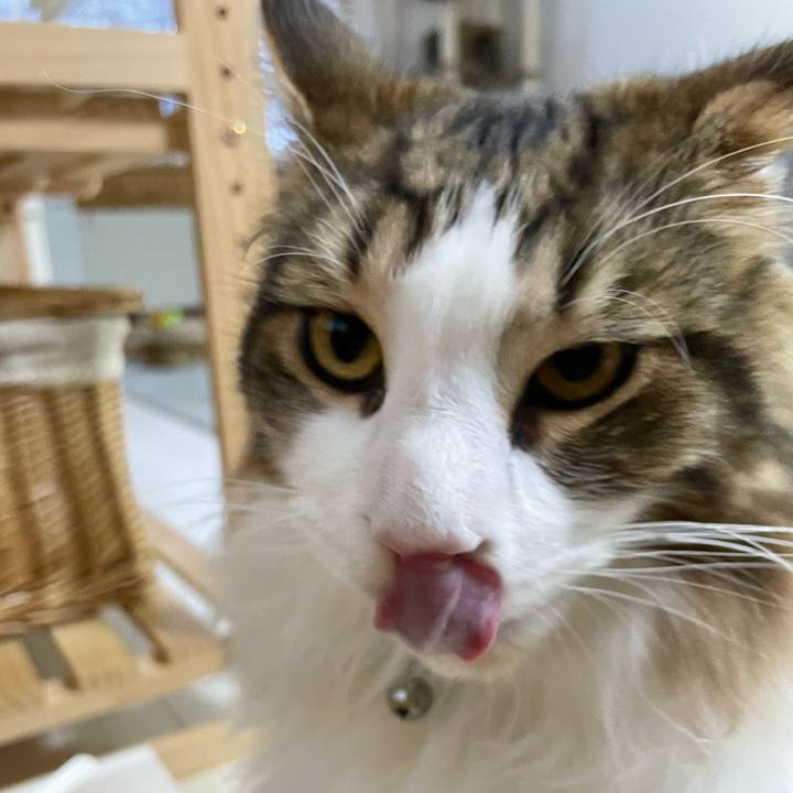 D4744a6d 83fb 4ffc 8af5 3cadbdd93fa8 1643320815152