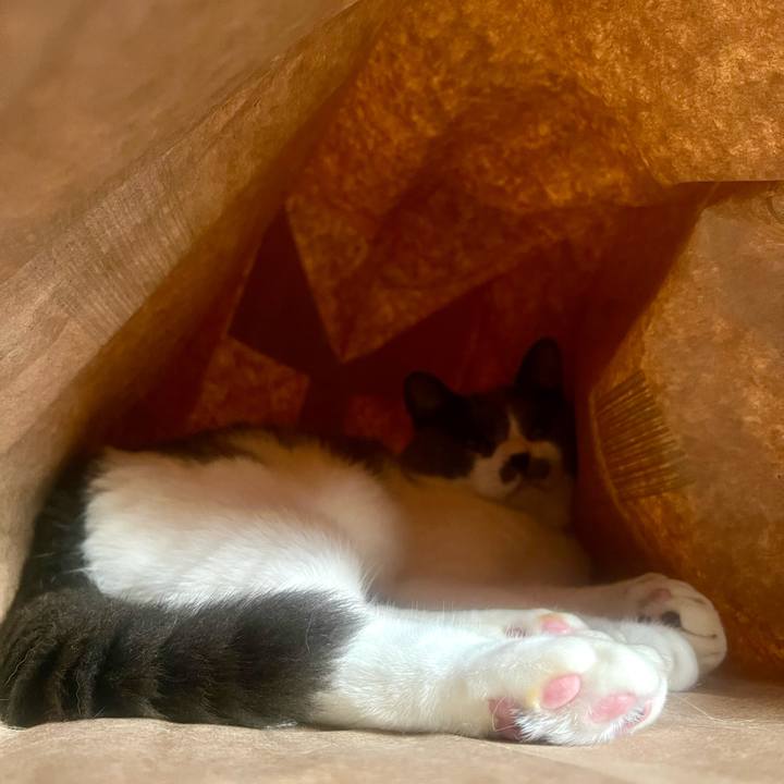 D47479ab 6f01 43e1 b850 86c65668bfc2 1718494749581