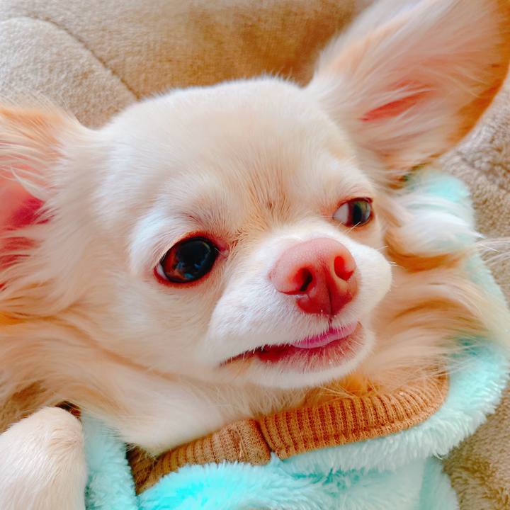 D474c2e9 bdd8 4fc2 9fba 204b89bd144f 1636369071442