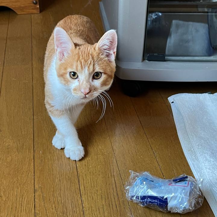 D474d044 c7fc 45fe 8633 90a695a4e906 1665085000406