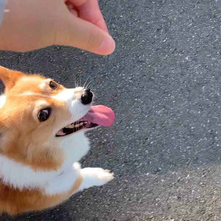 D474d97e 3eff 43b0 9a86 70ac1254c01c 1690150872451