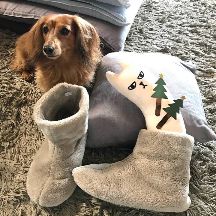 D474e41e 6f08 4bd7 9ee4 55fdd57309ca 1514085175306