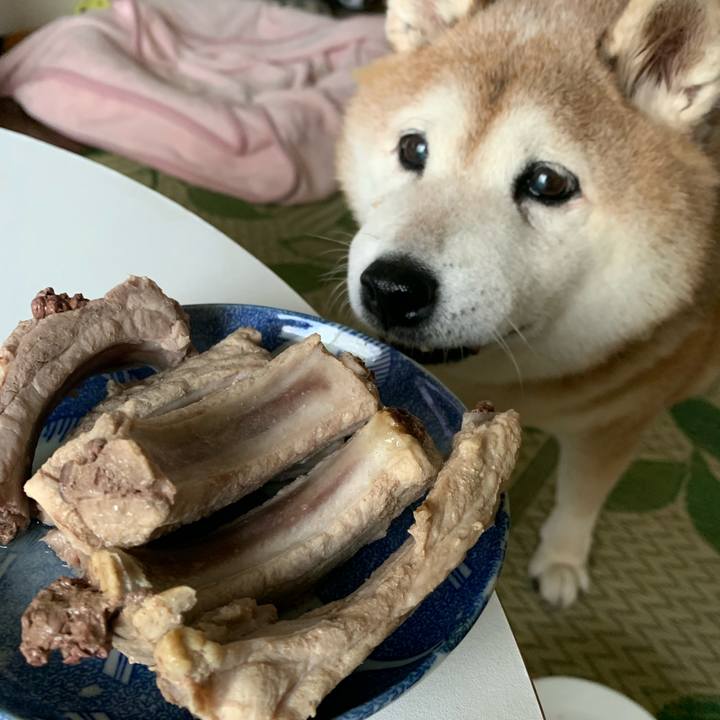 D4750dc4 2f5e 470e 8569 7b44a0e55d8c 1626389741479