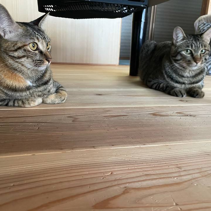 D475445f ca96 4e89 90c4 2cb027a41b7a 1757909451108