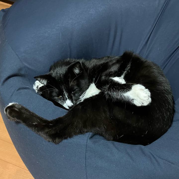 D4755b70 3280 4b04 af85 10071f294574 1670471072875