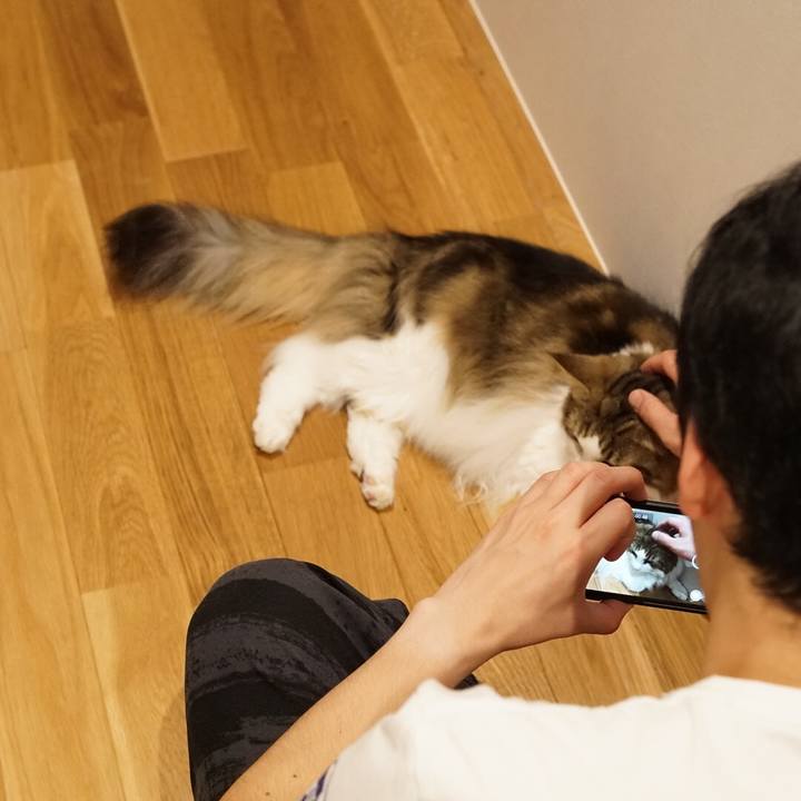 D4755dd9 ec5e 4077 8642 c12cd50a10a2 1570275717475