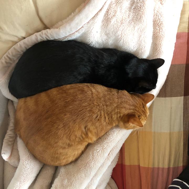 D4758a27 15ec 4571 ad5c f7b3fb2adaca 1713652656522