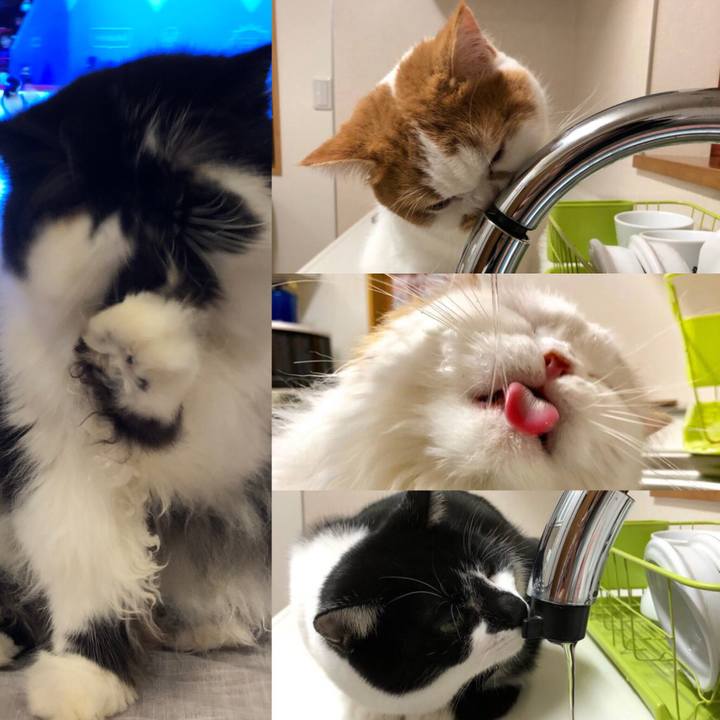 D475b3f7 4838 4382 9c5b 4ecc01262830 1543942878056