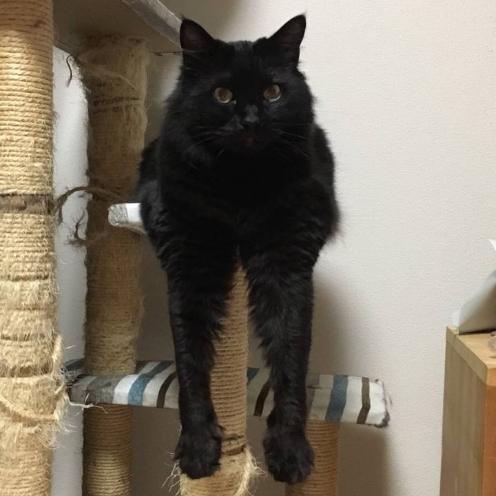 D475bded e5d4 4e2a ae7d 878b81047c63 1524669616508