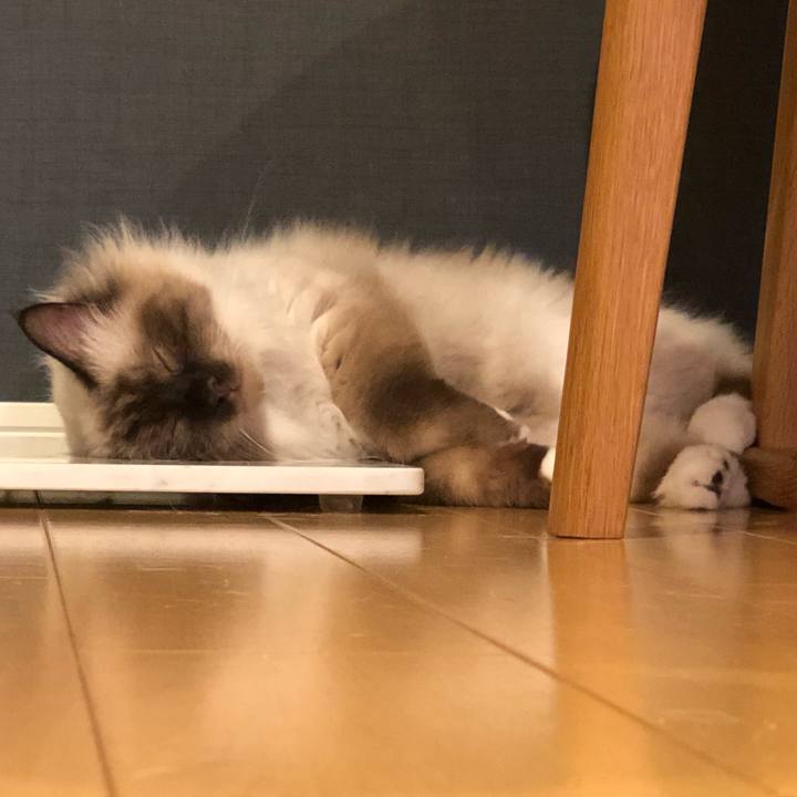 D475bdff 5f26 4cd3 b16b ab9ba2f618df 1571488818279