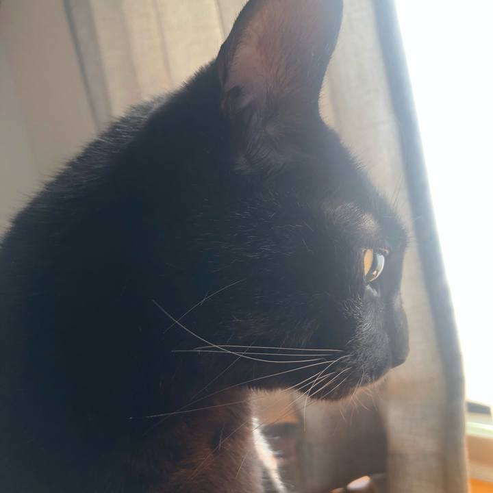 D4760545 7889 470a 89ba d11edf37e6e6 1632357130699