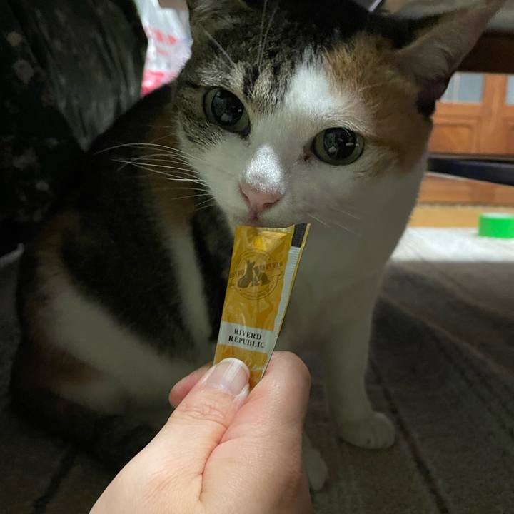 D476130b 6a75 4710 97cf 94c107d5e71e 1682079347674