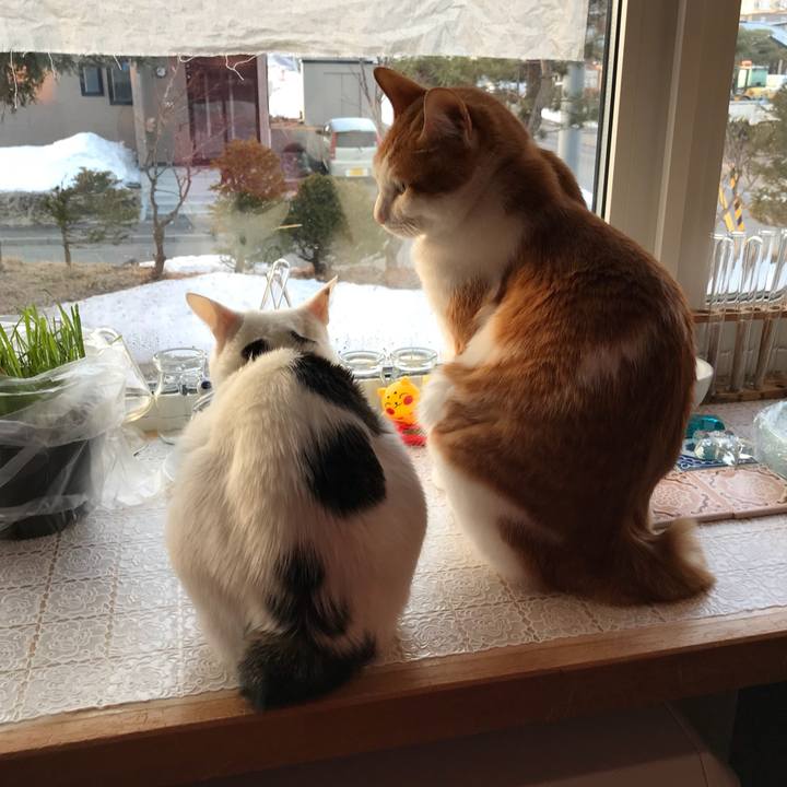 D4763bb0 1eec 46fb 8ec6 9dc8fb3a275e 1522097229916