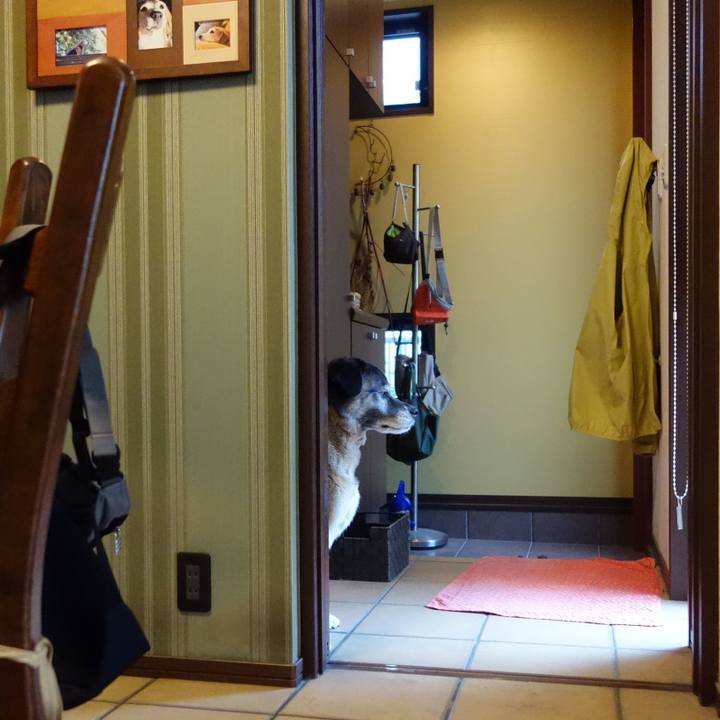 D476743b ae3d 42c1 852f 9d8e6c666b4b 1637107960779