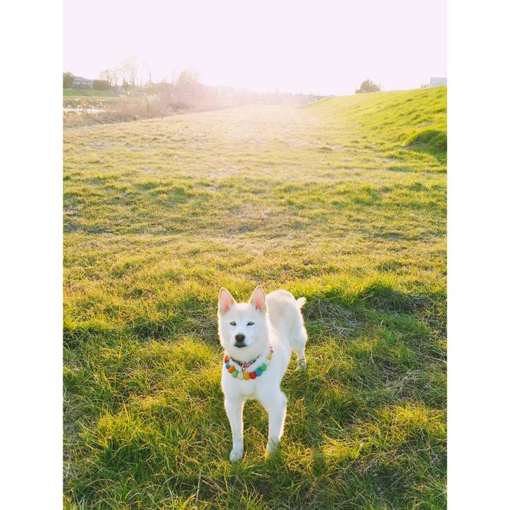 D47684dd 4e74 410a a851 ba32b21885de 1565741000108