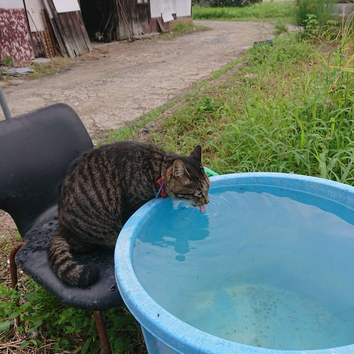 D4773586 f802 4037 8881 31c6478eacf5 1661376069259