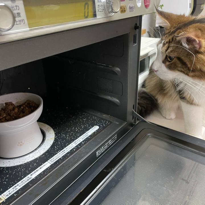 D4774b56 fed3 4465 a781 641712fd636d 1645733940491