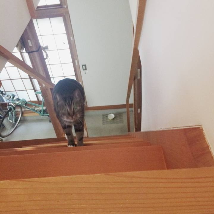 D4775dec 0fac 4e69 82e5 26263b7fc82d 1507763512835