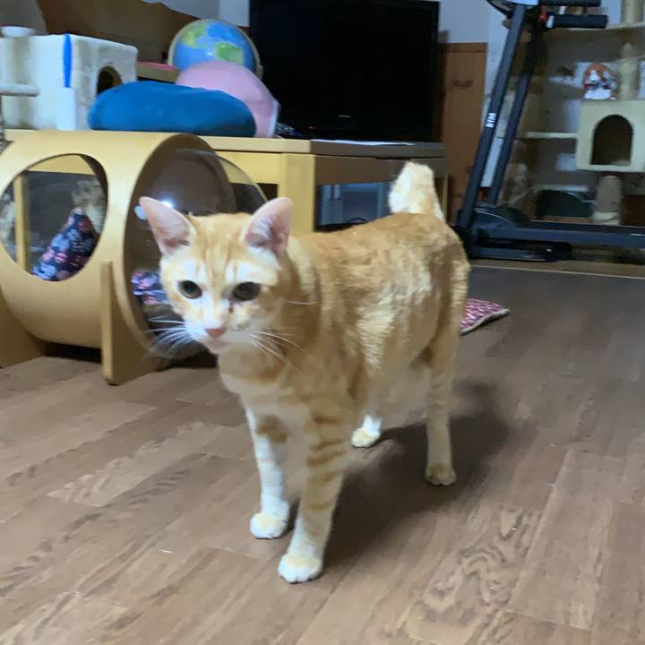 D4776b3c b96f 4abc bb56 bc9e8f316e9e 1626176866498