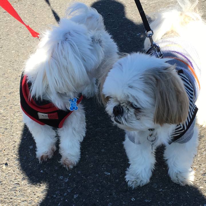 D4777bc3 27bf 45ac a31b 3953f08c1595 1542934859332