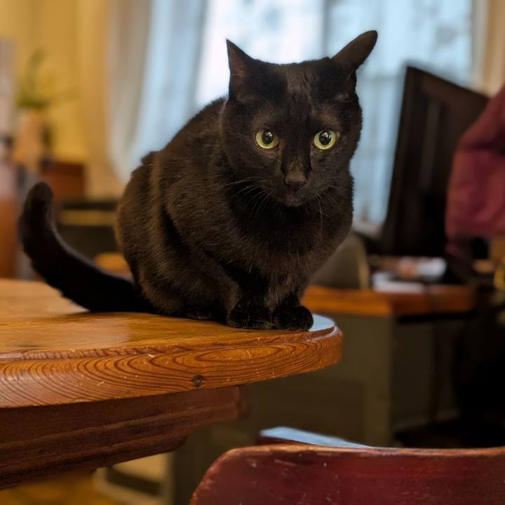 D477f2d1 3581 4b20 84cb cb41bfadaf2a 1765667950317