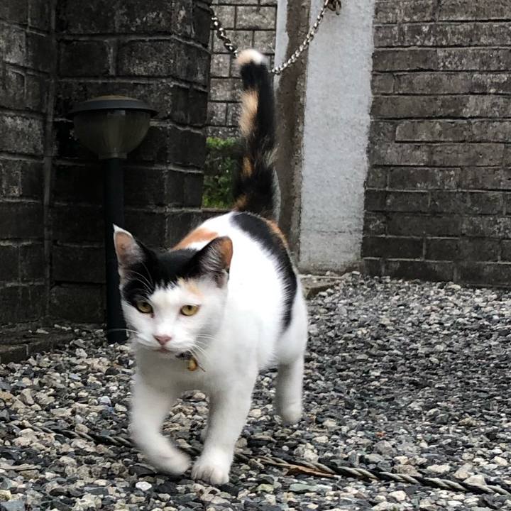 D477f7ea c110 4cfa b393 dc1e6c78f659 1630965405406