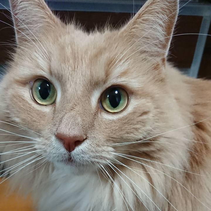 D4784674 bc52 4c1f 96eb 66251cfbd554 1581839033681