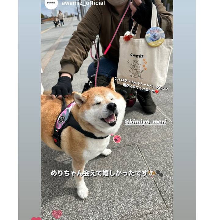 D478516a 5018 4d67 9bf8 61a92dedc59f 1709454336393