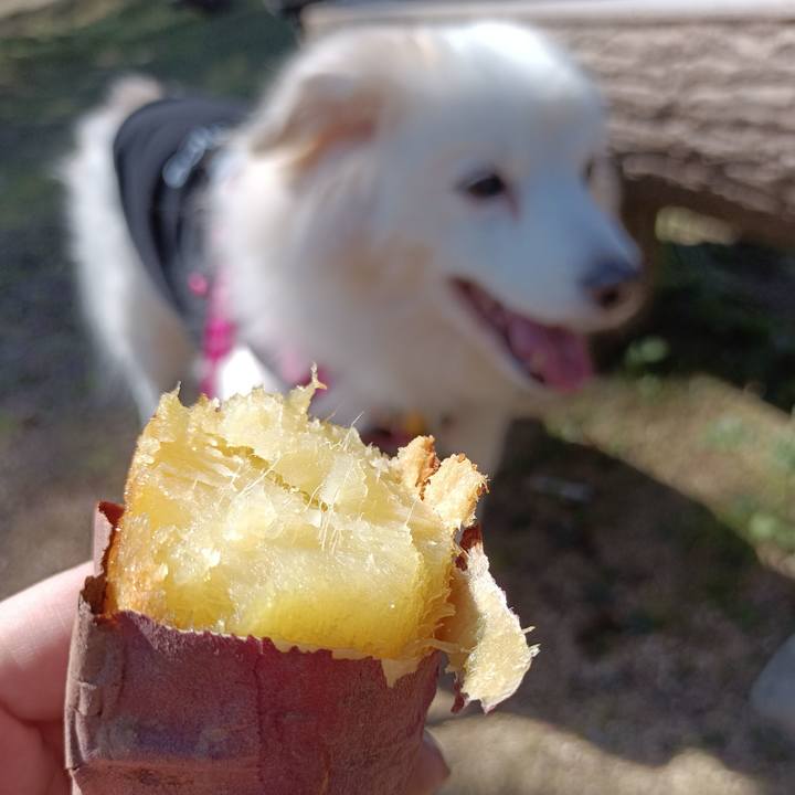 D4786d21 9bef 4d4b 98f8 98ca49a4308d 1708164861708