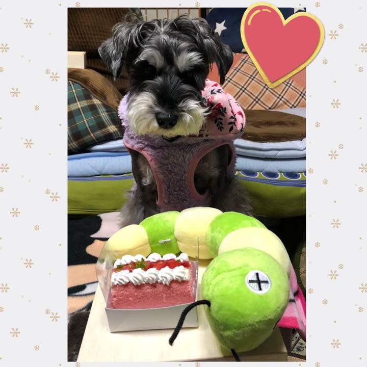 D478c084 43de 48bd bfbe 6fce7756a902 1672927230091