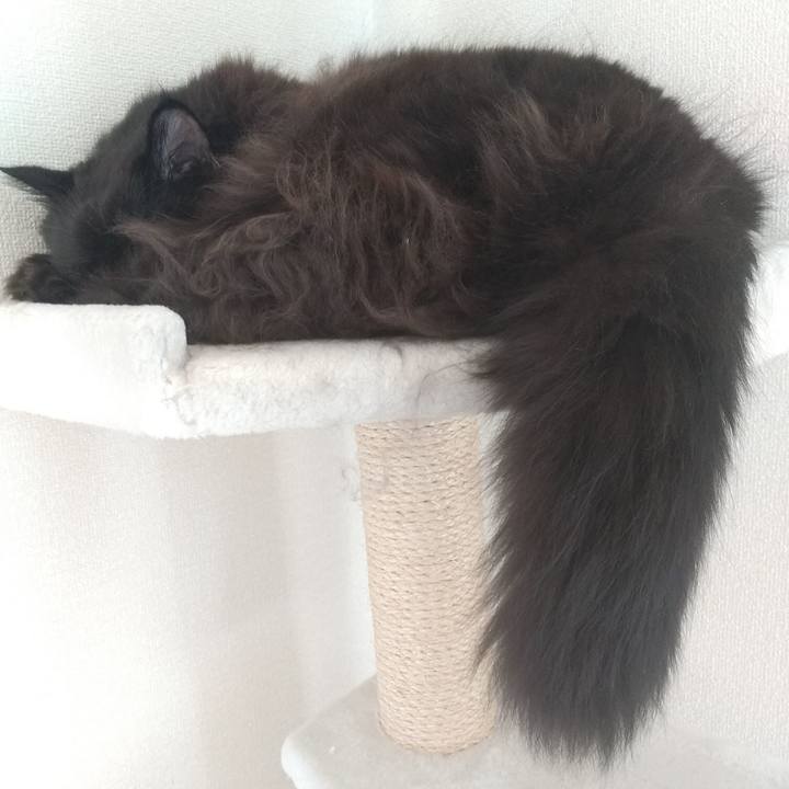 D4790b35 6789 40c7 9161 c370a661f0f4 1700526465735