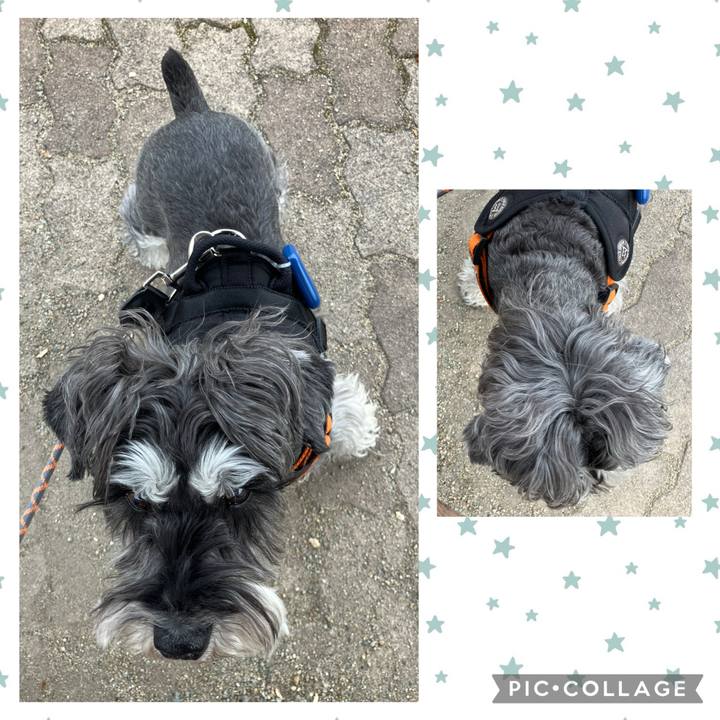 D4791fd9 04af 44bf 92aa c5a8ee0a563c 1745114389241