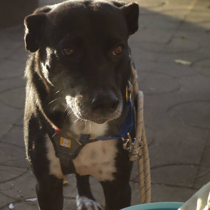 D4793f6e b158 4bc8 90a7 d1a30beee608 1638143576931