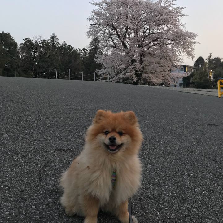 D47956fb b0ae 4ac3 b583 206738cb9fb6 1522325974437