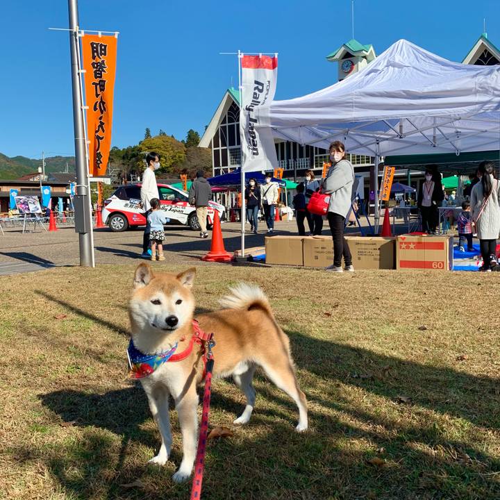 D479900e 12ed 4774 990b 0ba9c724b19c 1636887177995