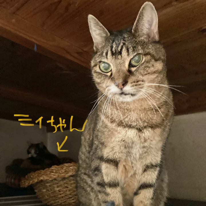 D479a964 ca9e 4188 b871 15af4815fb81 1639729452472