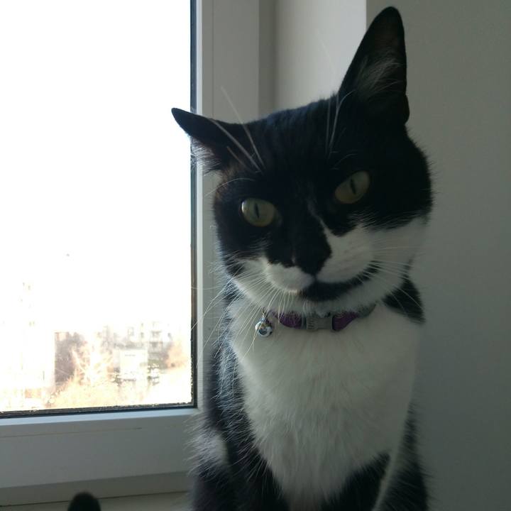 D47a064f 1ca1 4076 8d1f 59d8d09601ca 1514450441388