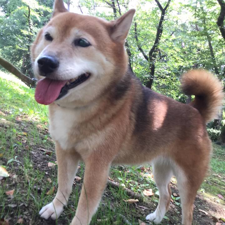 D47a0e09 0578 416e b1a3 9fe8d39a4139 1596782618543