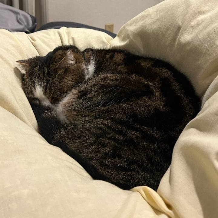 D47a2de9 c017 4a0a 85cb 0d8d56eeb95c 1769984566143