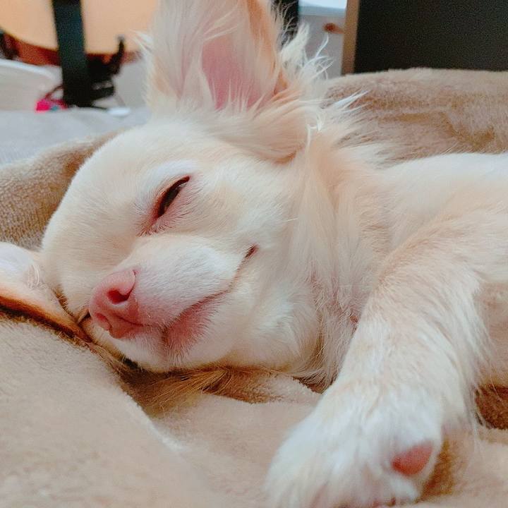 D47a63e0 1b9c 4634 8524 73e70b830b7f 1621396625490